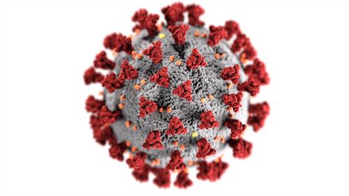 novelcoronavirus-optimized